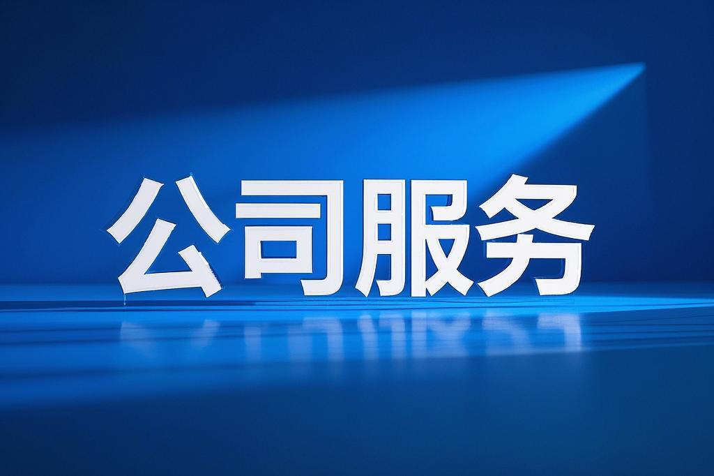 公司服务